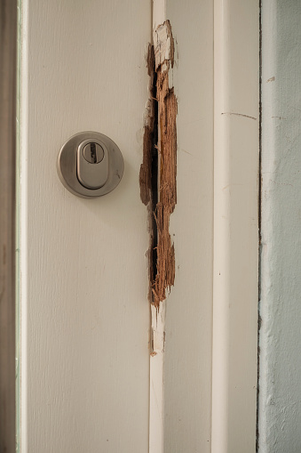 Door and Frame Repairs 2