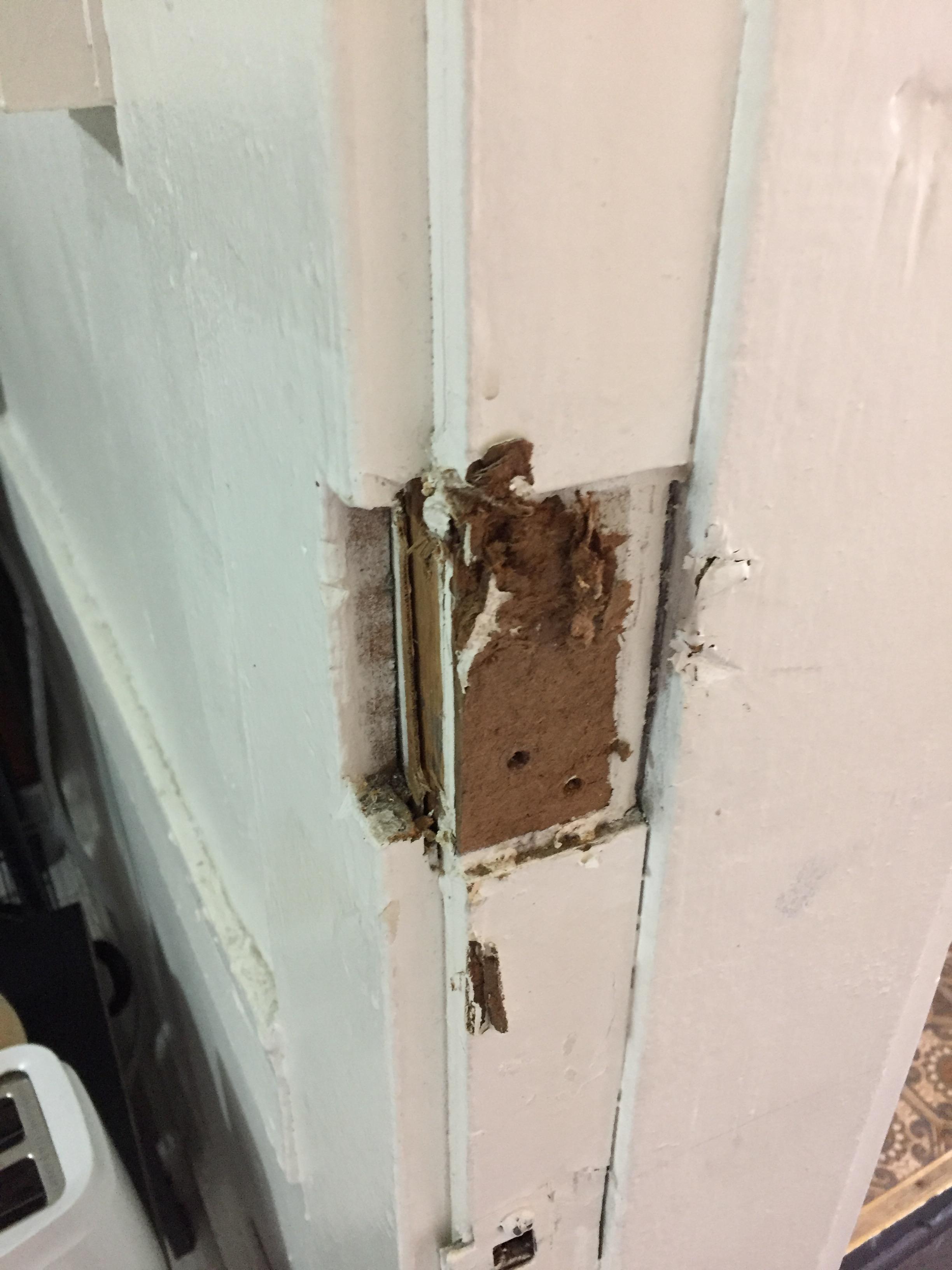 Door and Frame Repairs 3